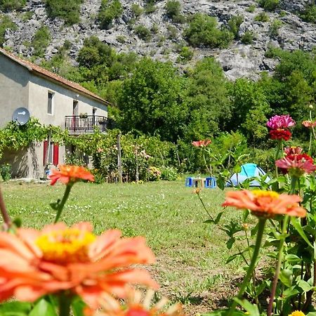 Hotel Camp Podkraj Virpazar Esterno foto
