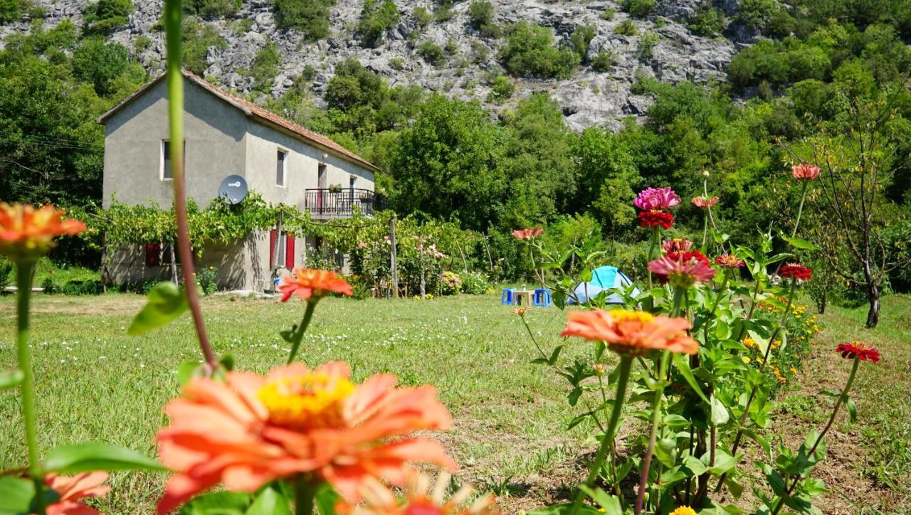 Hotel Camp Podkraj Virpazar Esterno foto